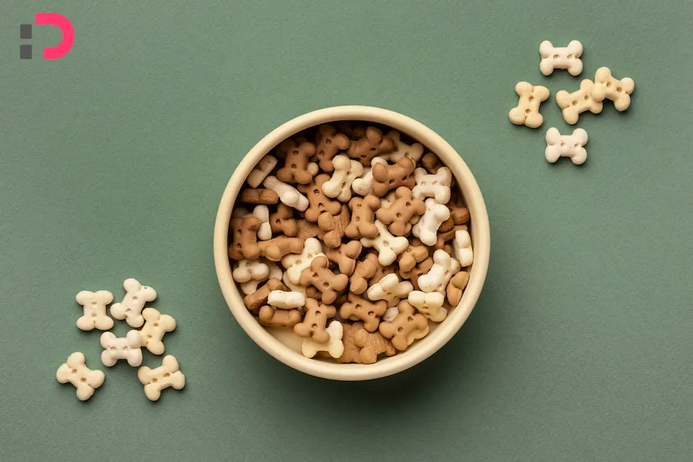 خرید غذای درمانی سگ | ثبت درخواست دامپزشک در پت‌شاپ آنلاین پتدونی 1404